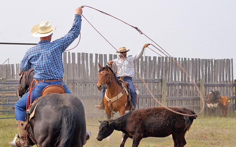  Ranch Cowboy School - Habibi World Travel & Tour America